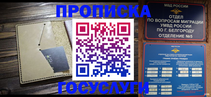 прописка 2025 в Таганроге